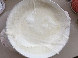 自制鹽鹵豆腐