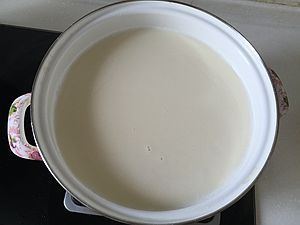 自制鹽鹵豆腐