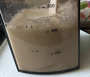 自制鹽鹵豆腐