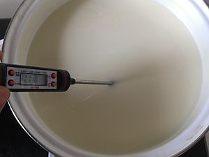 自制鹽鹵豆腐