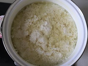 自制鹽鹵豆腐