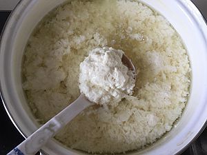 自制鹽鹵豆腐