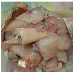 酸菜魚