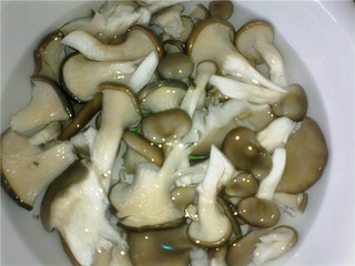 鯽魚蘑菇湯