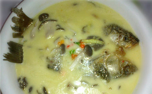 鯽魚蘑菇湯