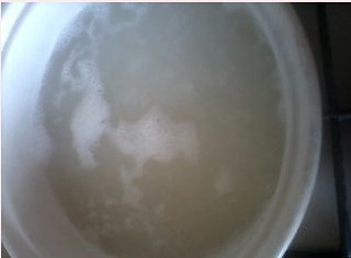 蘑菇牛肉粥