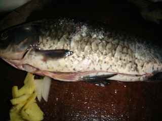 鯽魚蘿卜湯