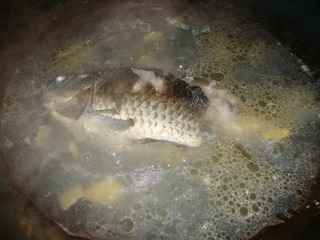 鯽魚蘿卜湯