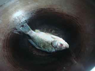 泡椒幹鍋鯽魚