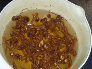 香菜茶樹菇炒裡脊
