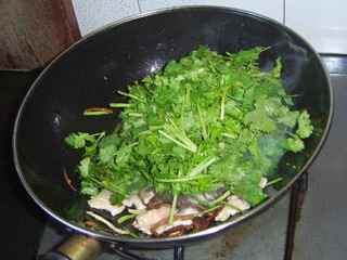 香菜茶樹菇炒裡脊
