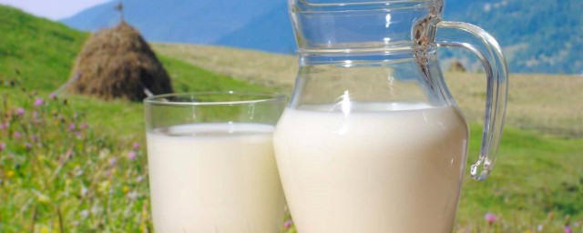 成人喝奶粉和牛奶哪個營養好 個人經驗分享