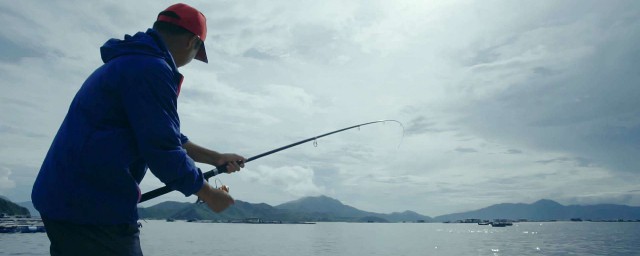 谷麥釣法用什麼竿最好 讓你釣魚變簡單