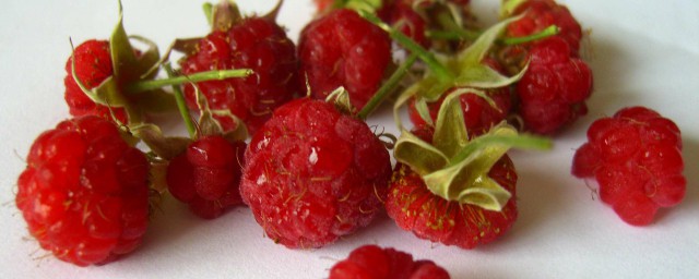 紅樹莓怎麼清洗 紅樹莓的清洗方法