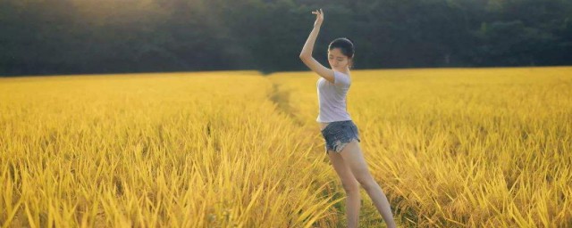 稻田裡怎麼拍照 稻田拍攝技巧