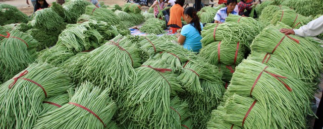 怎樣讓豇豆畝產兩萬斤 豇豆高產種植技術