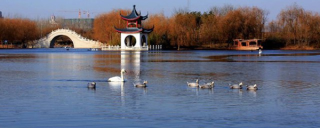 邯鄲附近免費旅遊景點盤點 讓你開啟一次愉快的旅行