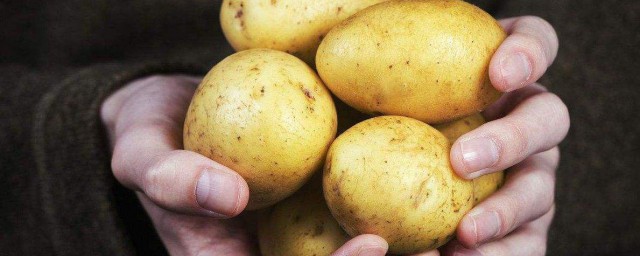 土豆畝產多少斤正常 我國主產地在哪
