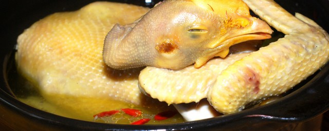 山薑頭雞湯的做法 山薑頭雞湯怎麼做