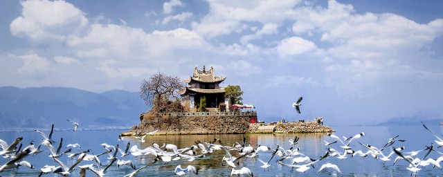 雲南什麼湖出名 雲南的湖泊比較出名的是哪些