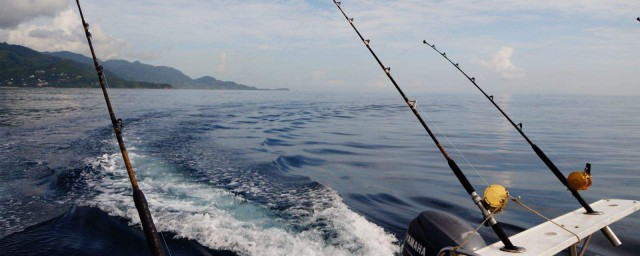 海釣用什麼鉤 介紹三種海釣中常用魚鉤
