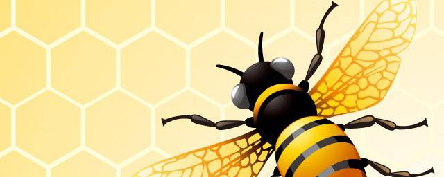 生活中有哪些蜂巢結構的應用 你知道嗎