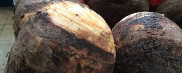潮州山哥南瓜芋頭的做法 大傢可以瞭解一下