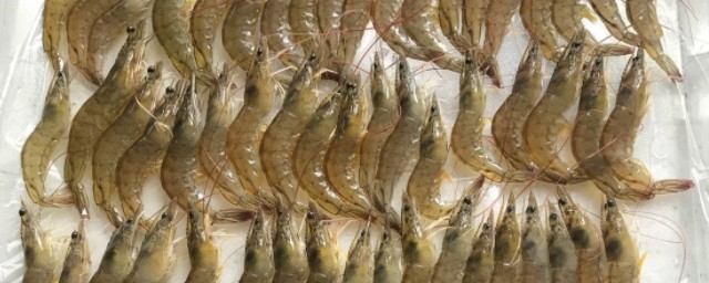 生蝦子放冰箱可以多久 吃蝦的註意事項告訴你