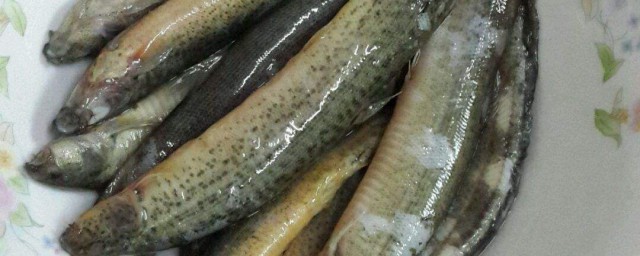 朝鮮族尼鰍小幹魚的做法 泥鰍魚幹做法