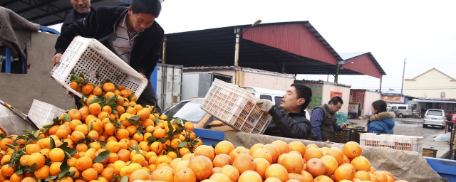 臨汾的水果批發市場 臨汾最大的水果批發市場在哪