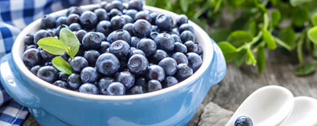 藍莓幹蜂蜜水正確喝法 適宜什麼人群
