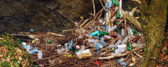 一個塑料瓶會污染環境多少年 一起瞭解一下