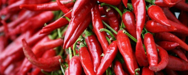 鮮紅辣椒豆怎麼做 你吃過嗎