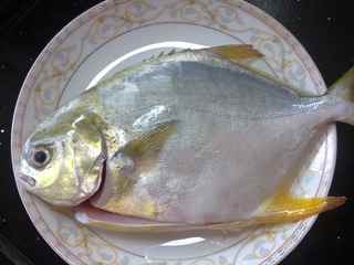 金槍魚