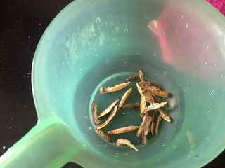 金槍魚