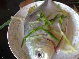 金槍魚