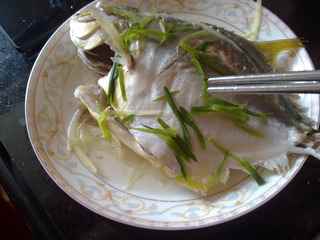 金槍魚