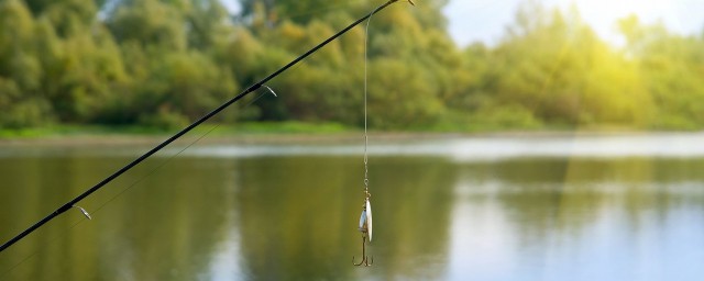 烏鯔魚釣法 釣鯔魚的技巧