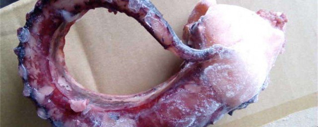 凍章魚足怎麼做好吃 香噴噴的清炒章魚足