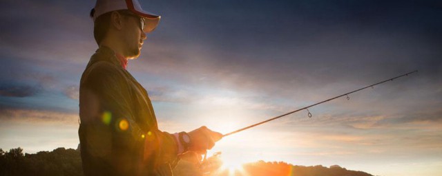 秋季釣青魚的實戰方法 有哪些技巧