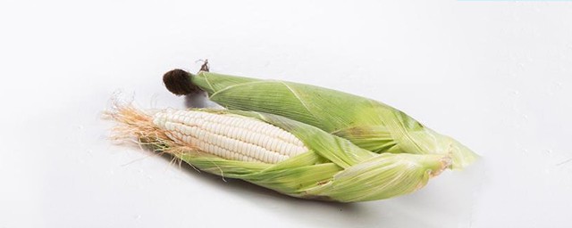 糯玉米哪個品種好 糯玉米生長環境