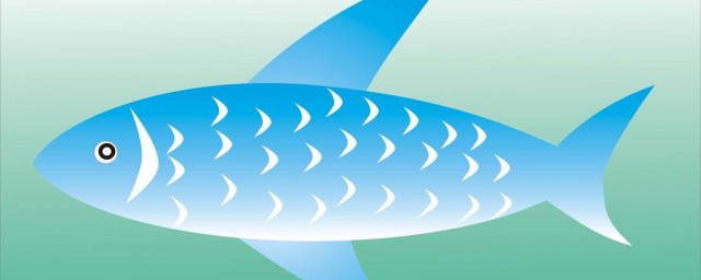 藍三角魚飼養方法 藍三角魚飼養的5大要點