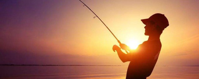 釣鯉魚釣邊還是釣裡 有三個原則