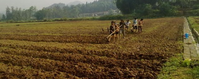 夢見種地什麼意思 周公是如何解夢的