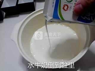 果味冰皮月餅