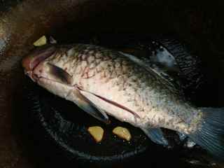 鯽魚蓮藕湯