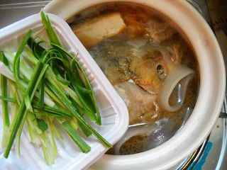 砂鍋魚頭煲