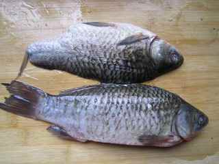剁椒鯽魚