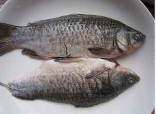 剁椒鯽魚