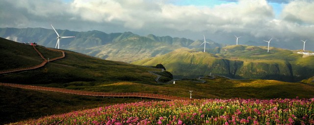 廣州到赫章韭菜坪自駕一天能否到達 旅遊景點大全
